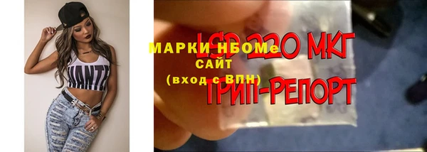 spice Алзамай