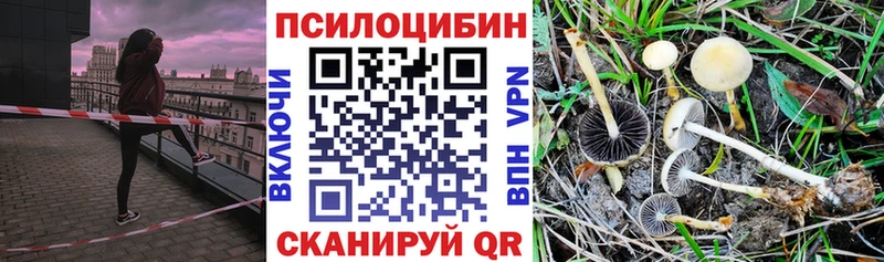 купить закладку  Нолинск  Галлюциногенные грибы мицелий 